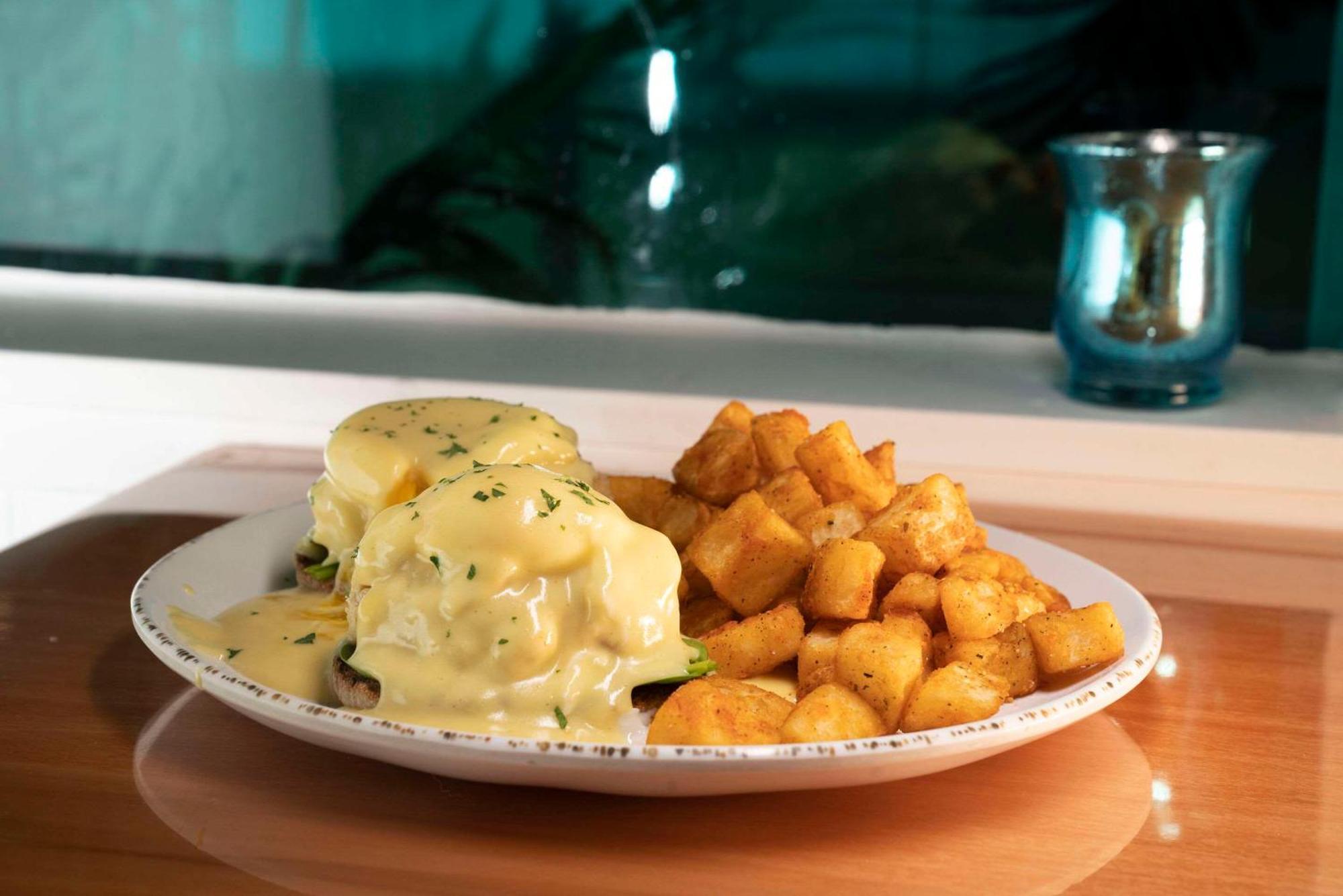 Winter The Dolphin'S Beach Club, Ascend Hotel Collection Clearwater Beach Zewnętrze zdjęcie