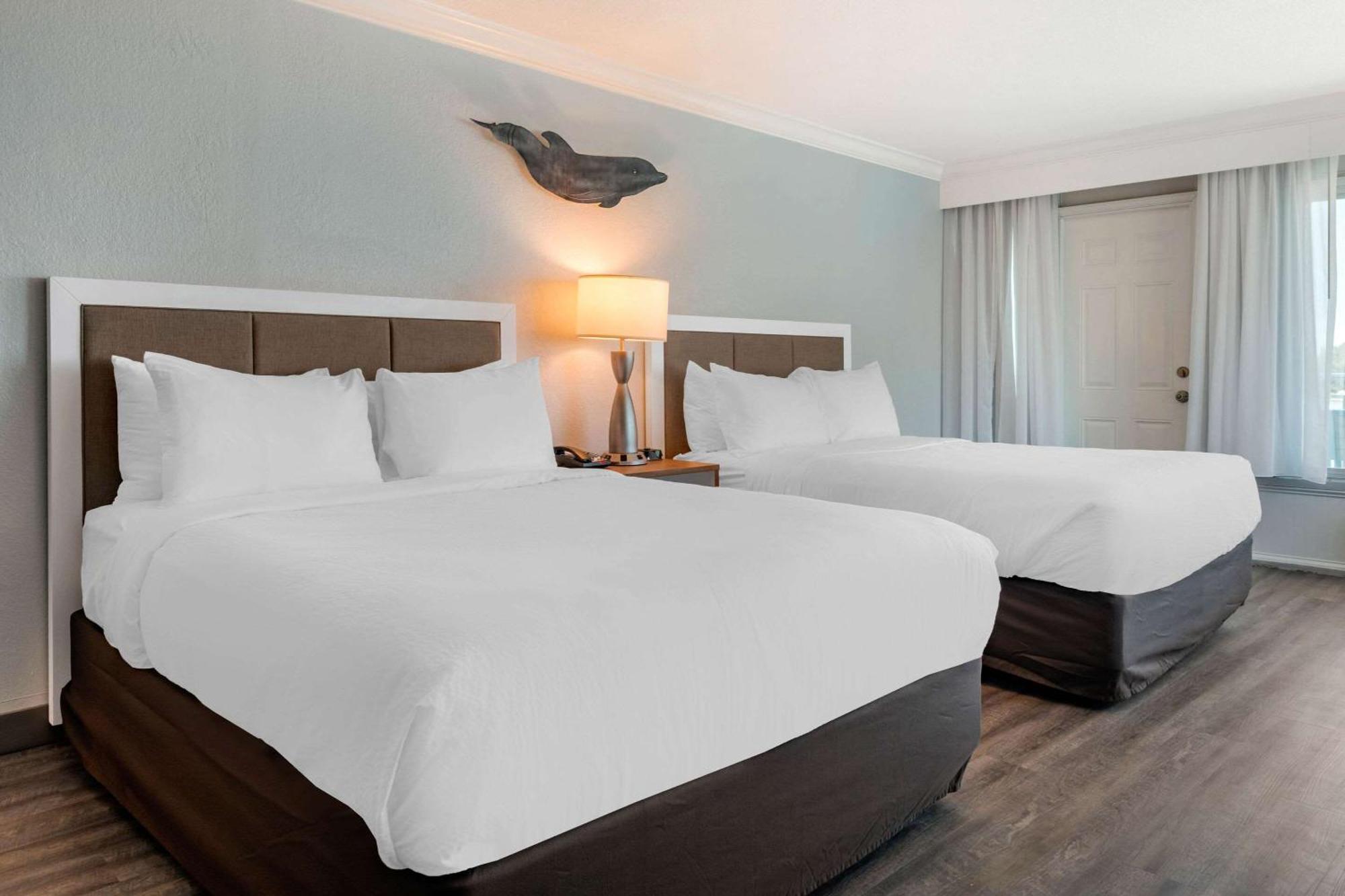 Winter The Dolphin'S Beach Club, Ascend Hotel Collection Clearwater Beach Zewnętrze zdjęcie