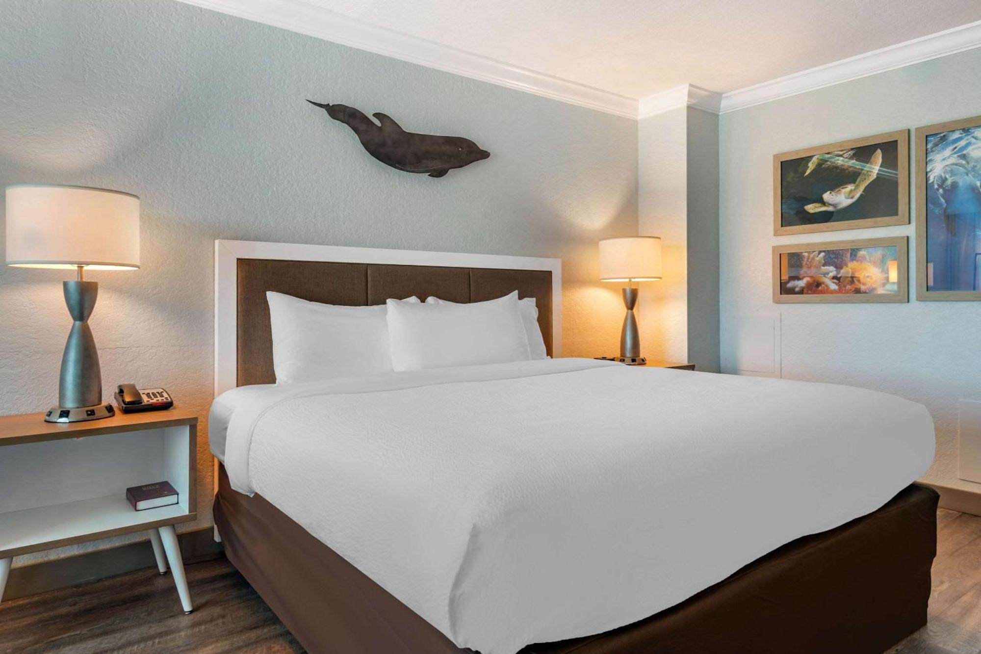 Winter The Dolphin'S Beach Club, Ascend Hotel Collection Clearwater Beach Zewnętrze zdjęcie