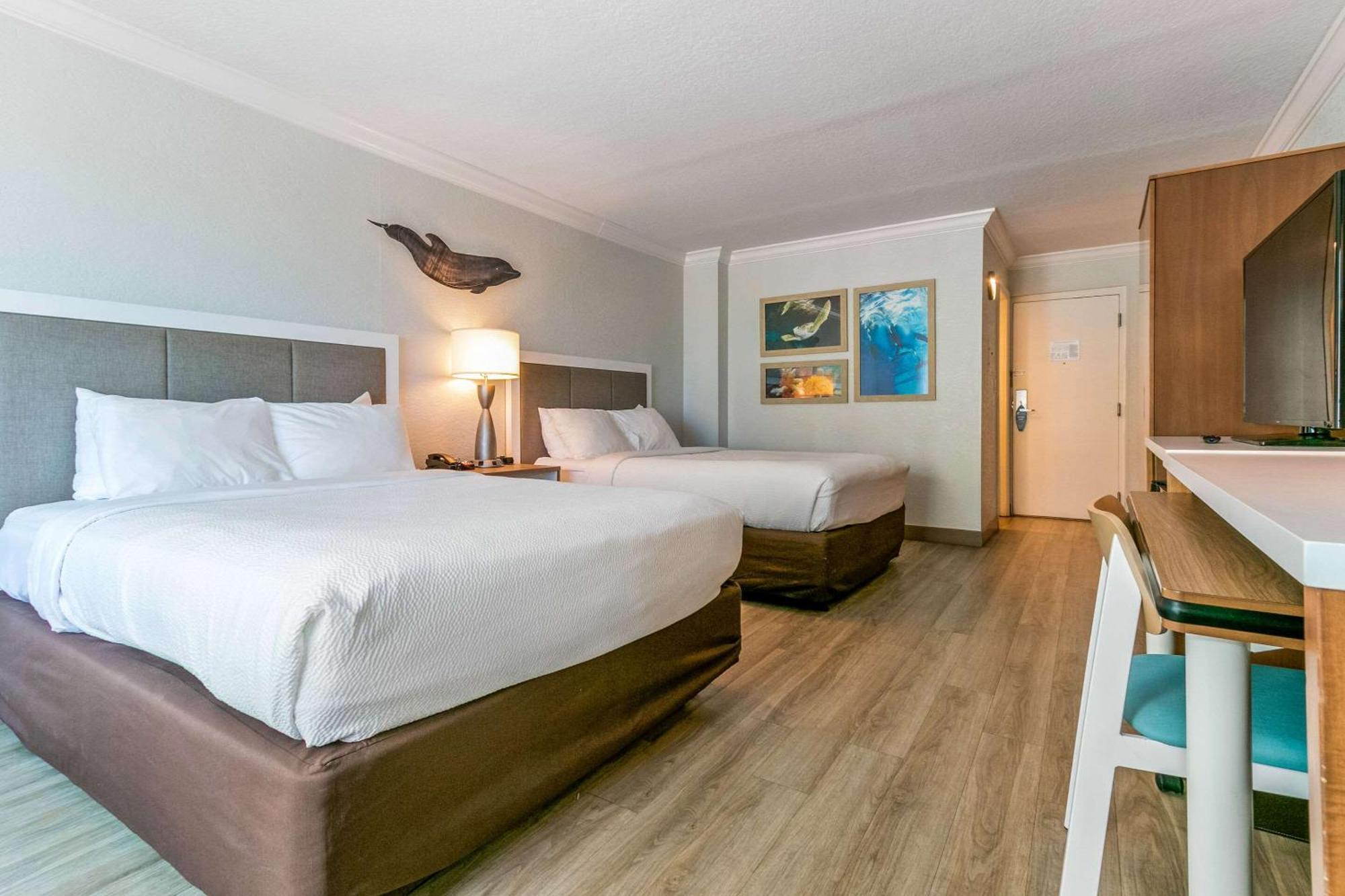 Winter The Dolphin'S Beach Club, Ascend Hotel Collection Clearwater Beach Zewnętrze zdjęcie