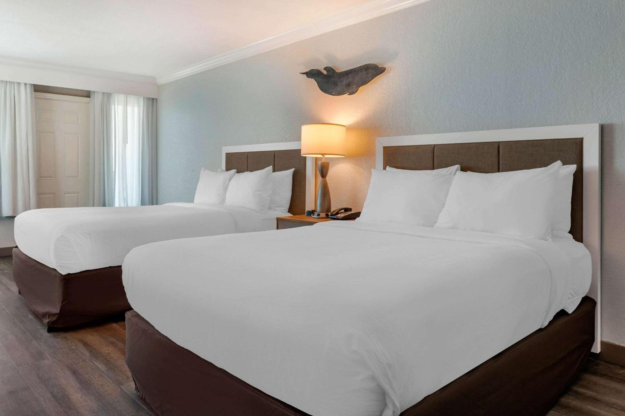 Winter The Dolphin'S Beach Club, Ascend Hotel Collection Clearwater Beach Zewnętrze zdjęcie